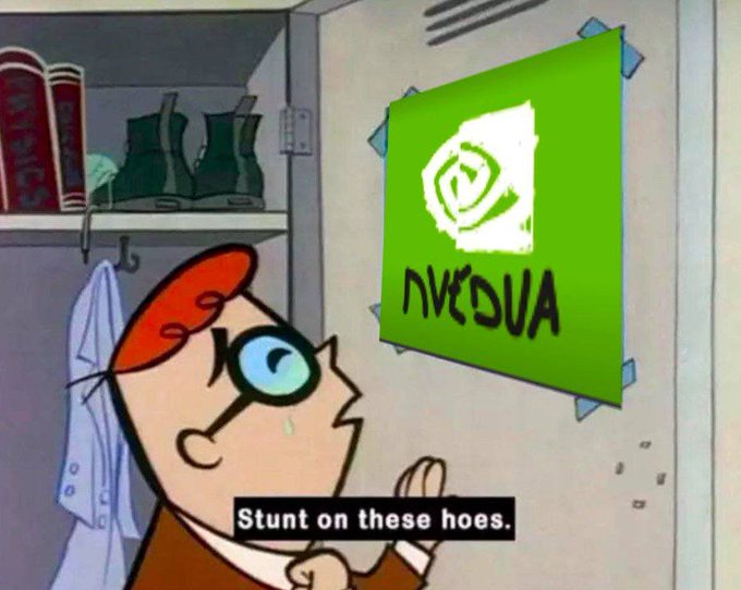 NVEDUA meme